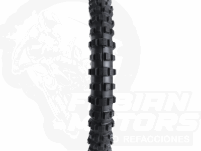 3.00-19 TERRA PLUS TT P2001