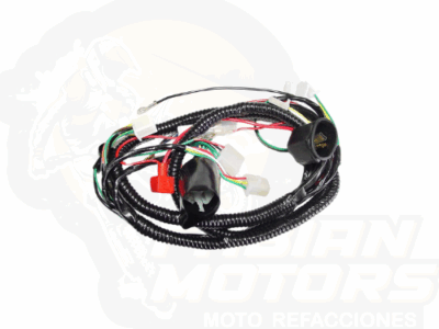 ARNES PRINCIPAL 12V P/ CS 125, P/ DS 125