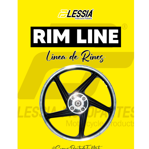 "BIKERS - BOMBA DE FRENO CON PALANCA, MICROCHIP, MANGUERA Y CALIPER CON BALATAS" / BOF-001