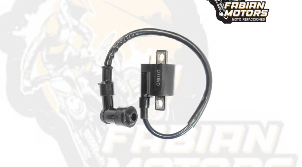 BOBINA ENCENDIDO (EXTERNA) 12V P/ BWS-100