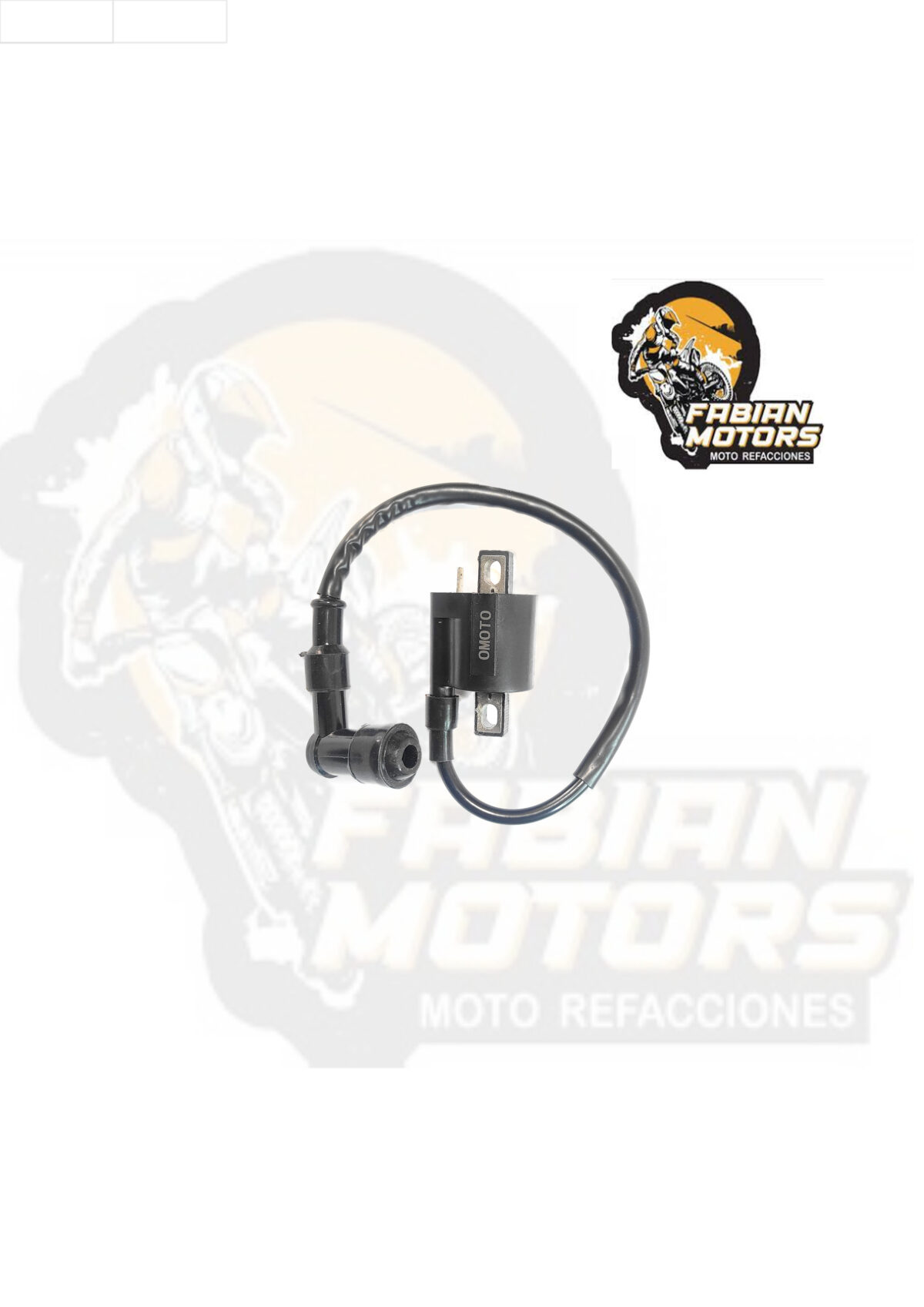 BOBINA ENCENDIDO (EXTERNA) 12V P/ BWS-100