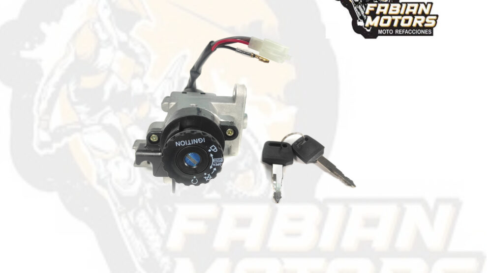 112-032028-1 INTERRUPTOR ENCENDIDO 12V P/ BWS-100 (JUEGO)