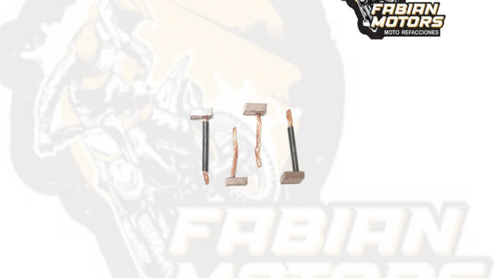 112-048013-1 CARBONES 12V P/ FT-125 (JUEGO)