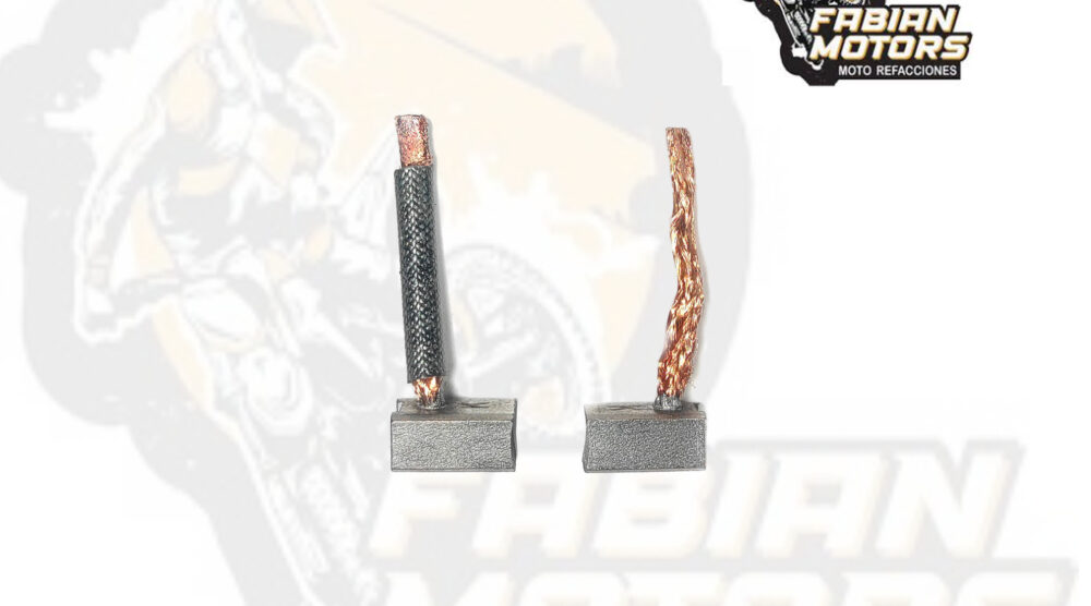 112-049019-1 CARBONES 12V P/ WS-150 (JUEGO)