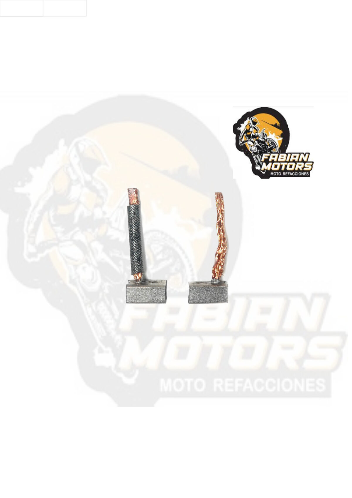 CARBONES 12V P/ WS-150 (JUEGO)
