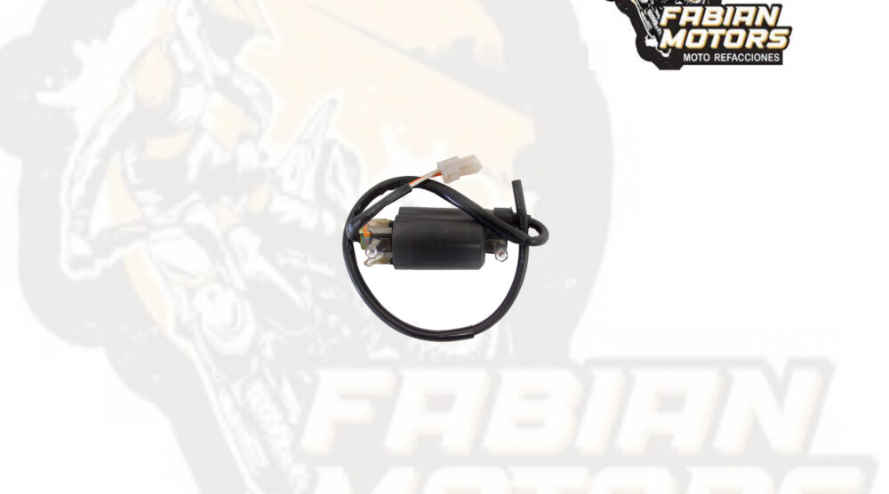 BOBINA ENCENDIDO (EXTERNA) 12V P/ EN-125 HU
