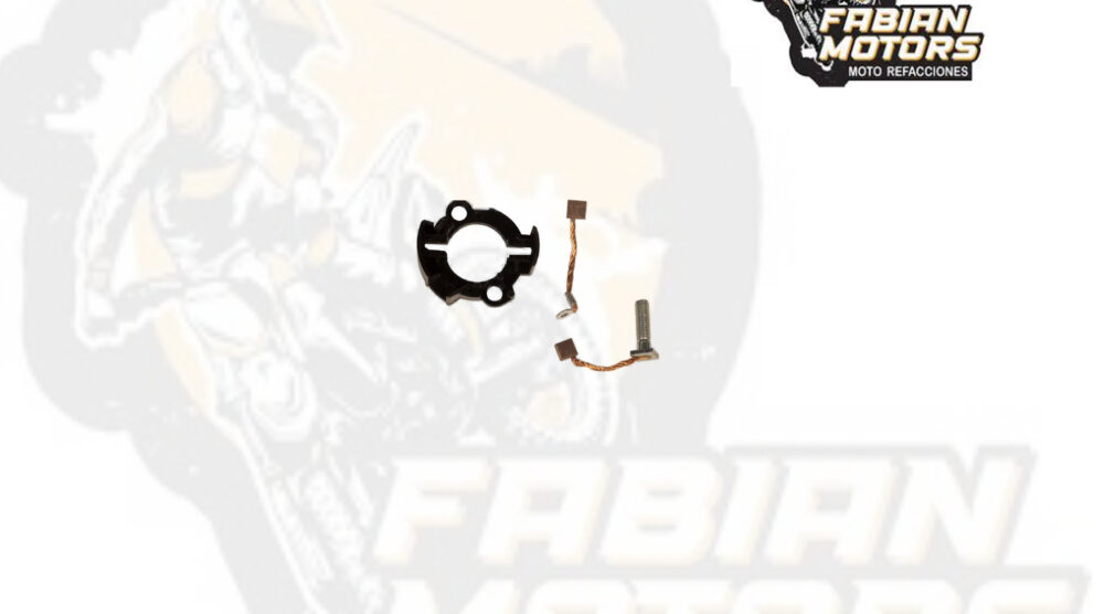 112-165015-1 CARBONES 12V P/ GL-150 CARGO (JUEGO)