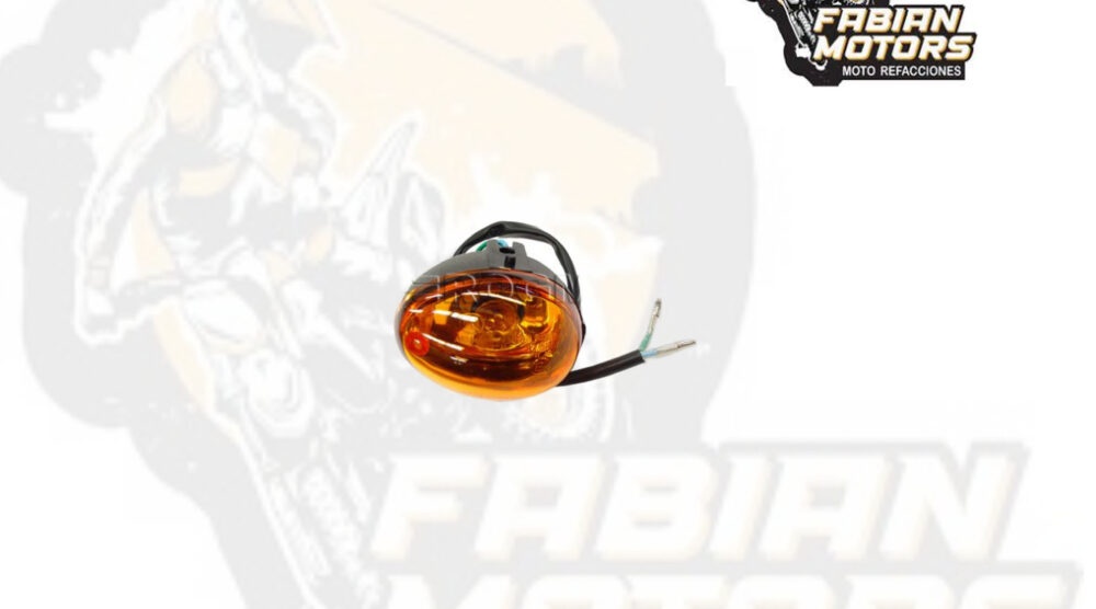 DIRECCIONAL DELANTERA DERECHA NARANJA 12V 10W P/ WS-150