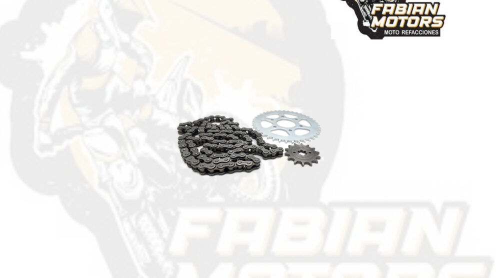 123-075003-1 JUEGO DE ENGRANES CON CADENA P/ NS200 (39,14D, 520X108L)