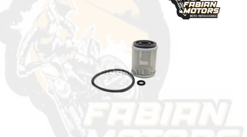 128-002012-1 FILTRO ACEITE ND P/ YFM-250 BRUIN TWN (143)