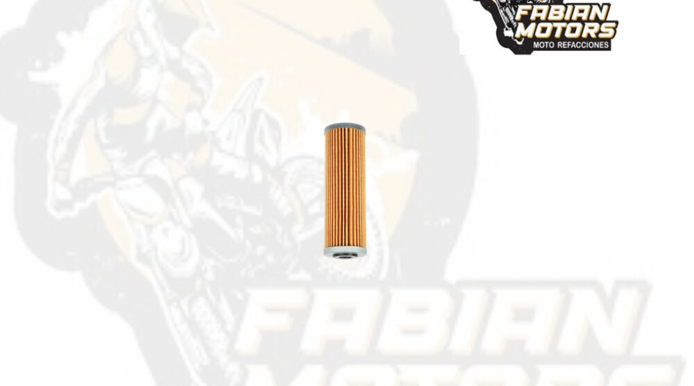 FILTRO ACEITE ND P/ DUKE 790, P/ SUPER DUKE GT TWN (650)