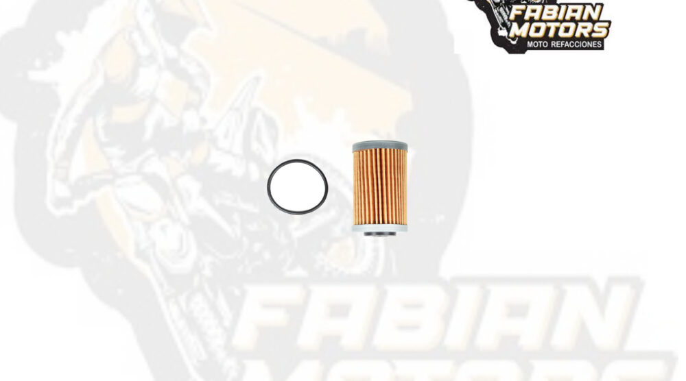 128-002046-1 FILTRO ACEITE ND P/ XC-F-250-450 TWN (655)