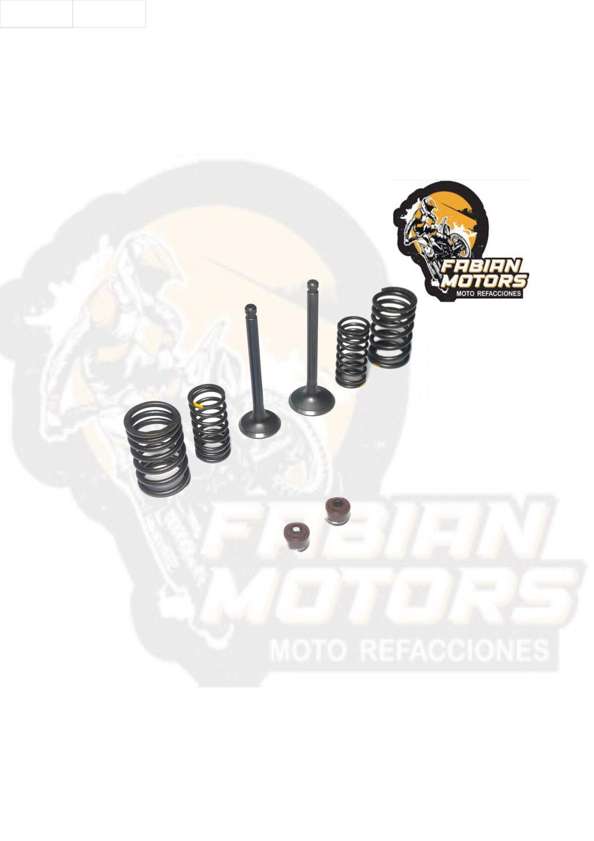 VALVULAS ADMISION/ESCAPE C/ RESORTES Y SELLOS P/ AT-110 (JUEGO)