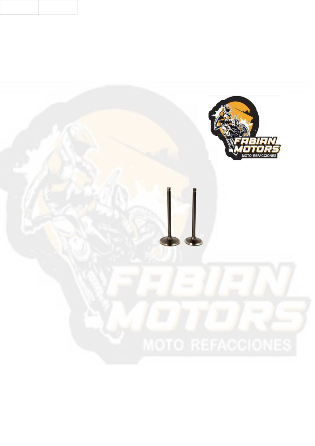 VALVULA ADMISION/ESCAPE CON SELLOS DE VALVULA Y SEGUROS P/ 250Z '14-'17, P/ 250Z '17-'19 NEGRA (JUEGO)
