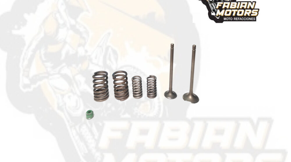 128-161022 VALVULA ADMISION/ESCAPE CON SELLOS DE VALVULA Y SEGUROS SUNGO P/ TOOL-125 (JUEGO)