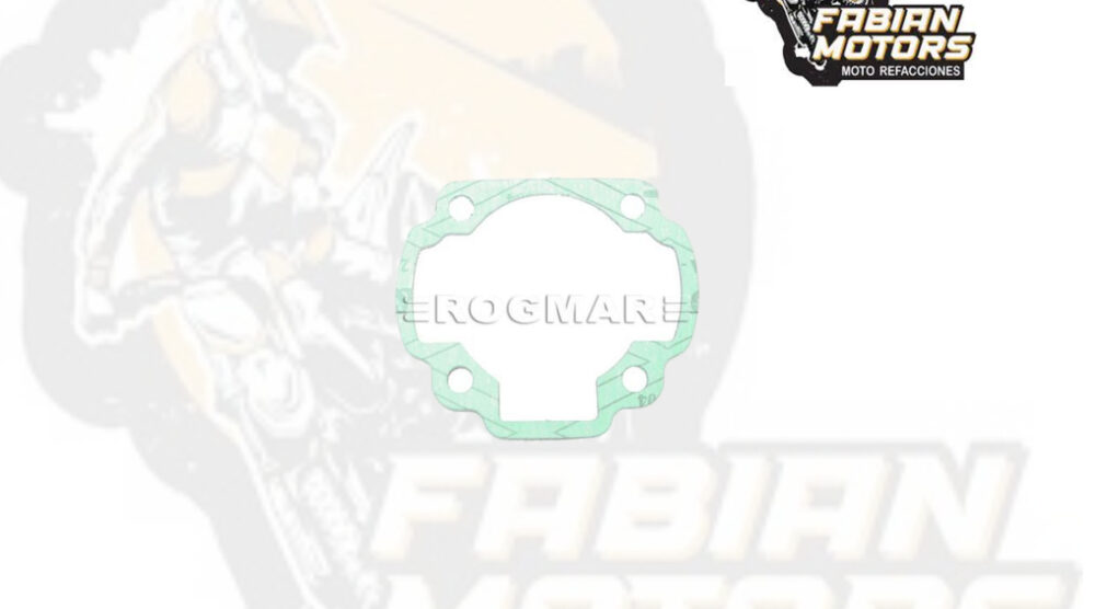 130-042000 EMPAQUE BASE CILINDRO P/ TRITON R4-100 TWN