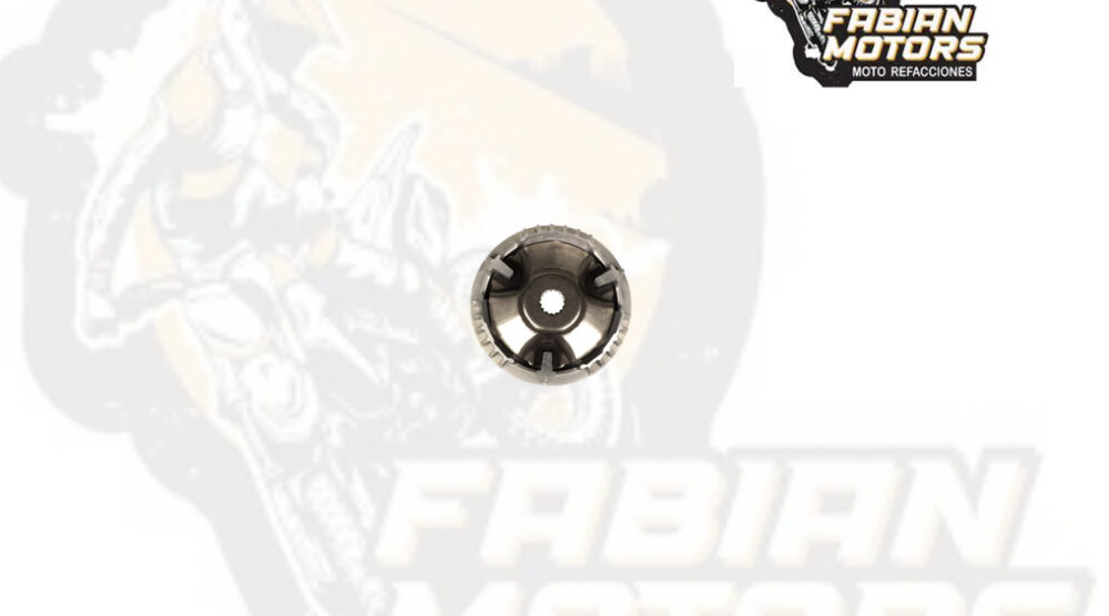 POLEA DE RODILLOS COMPLETA P/ BWS-100 TWN