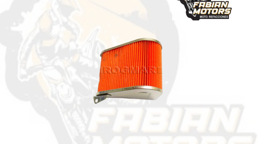 132-000005 ELEMENTO FILTRO AIRE P/ ROAD POWER /P/ FIRENZE (TRIANGULAR), P/ CS-125, / VITALIA-125, P/ VITALIA-150