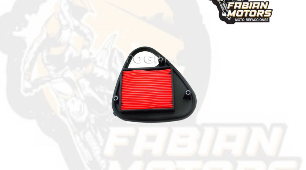 ELEMENTO FILTRO AIRE ND P/ NV400/VT600 '88-'98 TWN