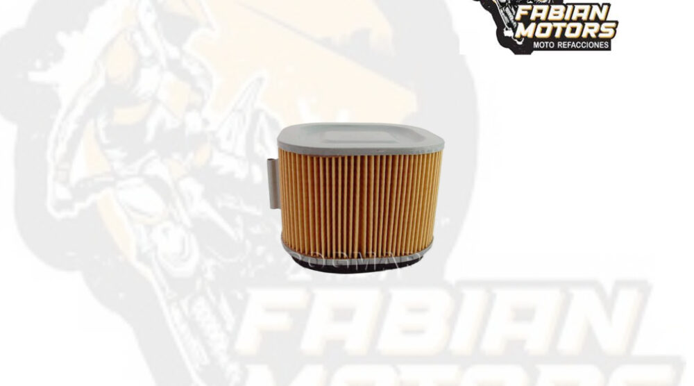 ELEMENTO FILTRO AIRE ND P/ KZ-1000/ K1100 '81-'86 TWN