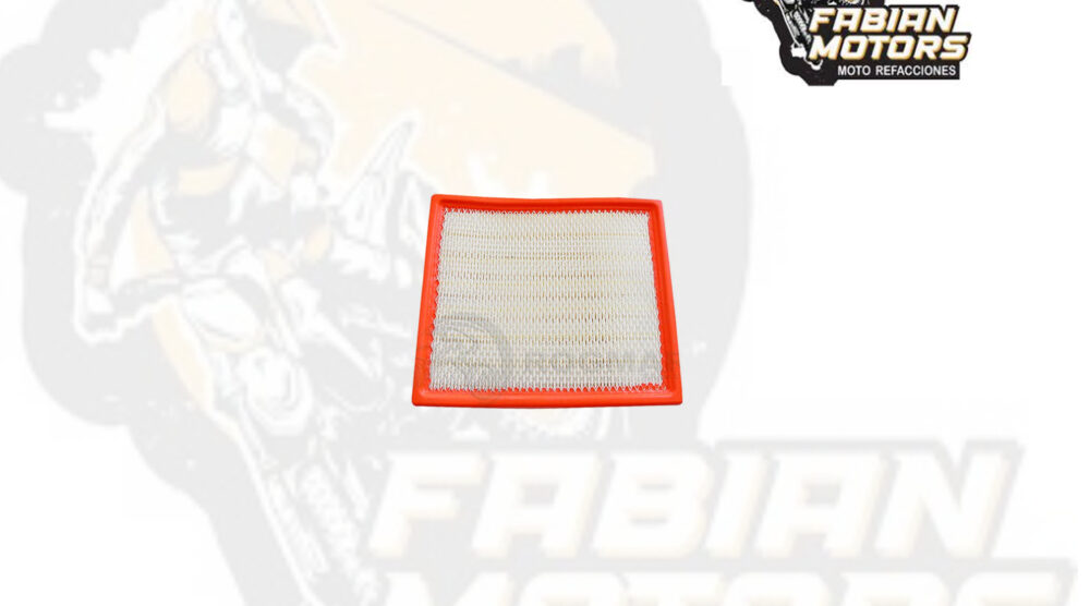 132-001016 ELEMENTO FILTRO AIRE P/ RZR-900