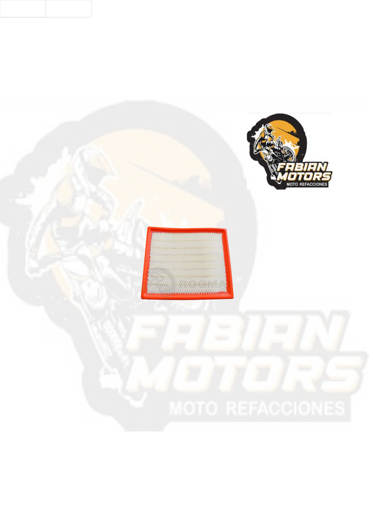 ELEMENTO FILTRO AIRE P/ RZR-900
