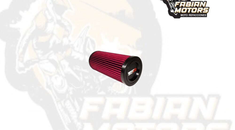 132-001024 ELEMENTO FILTRO AIRE TECHX2 P/ RZR 900 (8715)