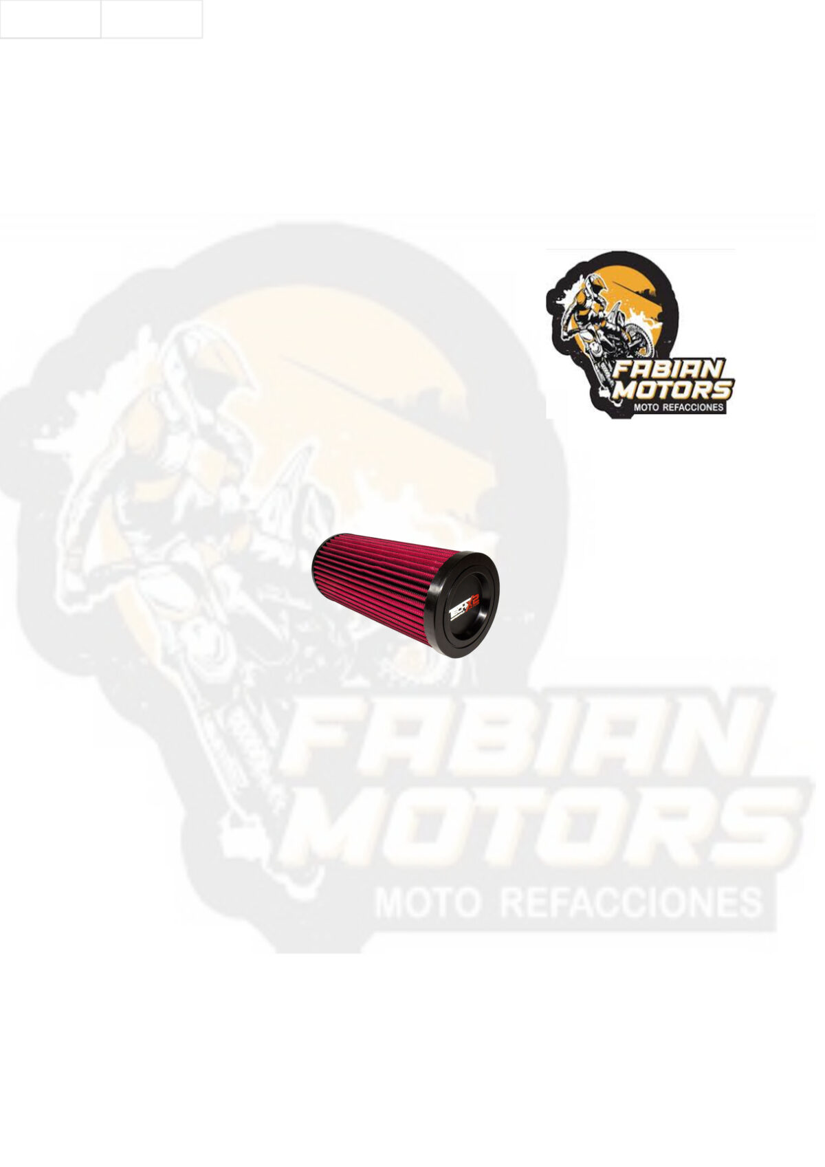 ELEMENTO FILTRO AIRE TECHX2 P/ RZR 900 (8715)