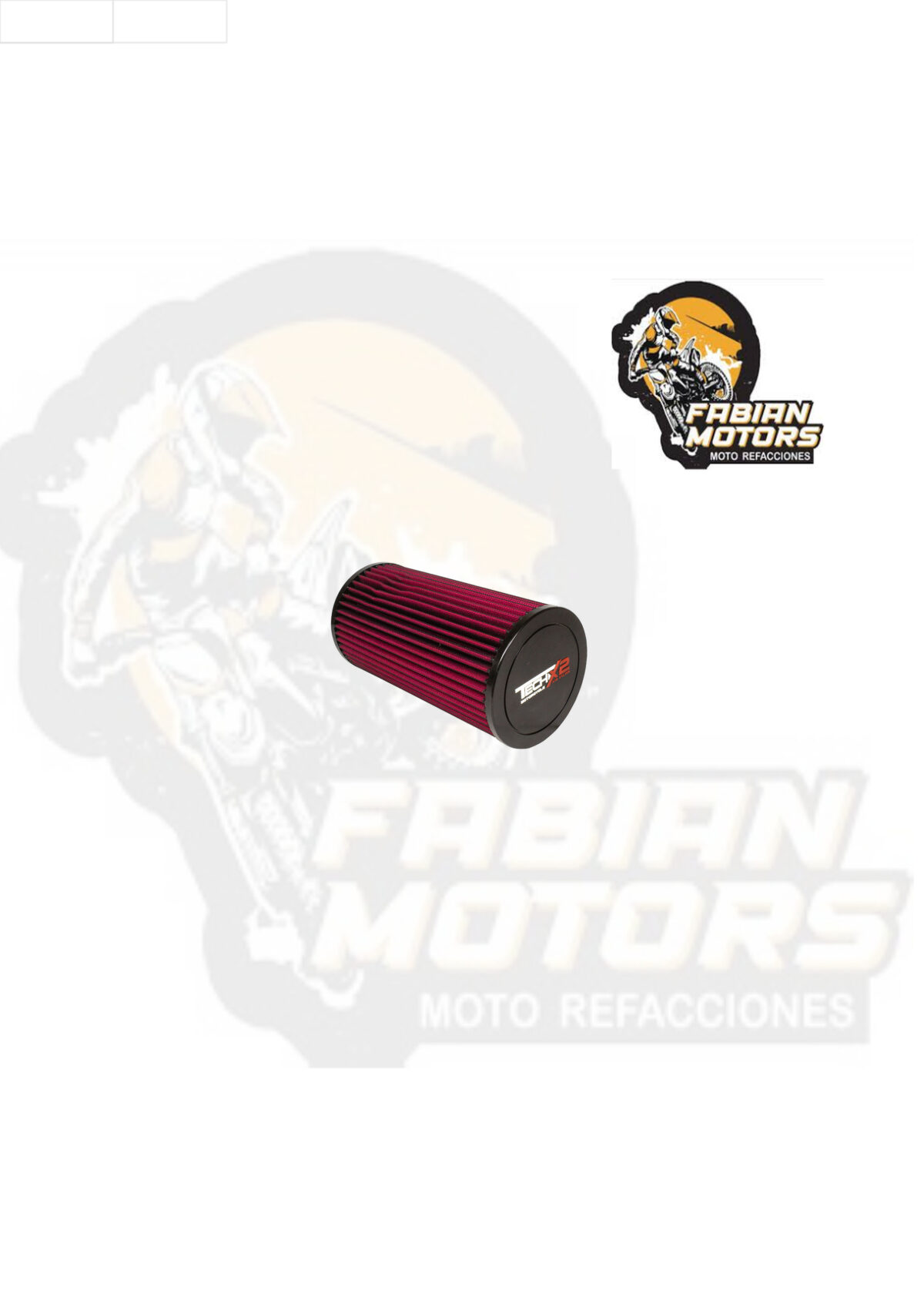 ELEMENTO FILTRO AIRE TECHX2 P/ RZR XP 4 1000 EPS (1014)