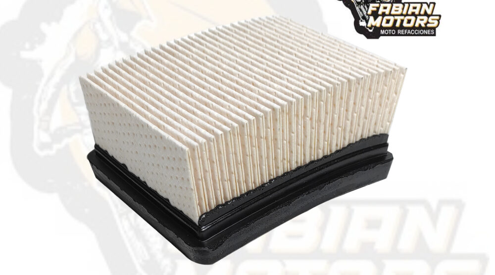 132-001060 ELEMENTO FILTRO AIRE P/ G310 GS, P/ G310 R TWN