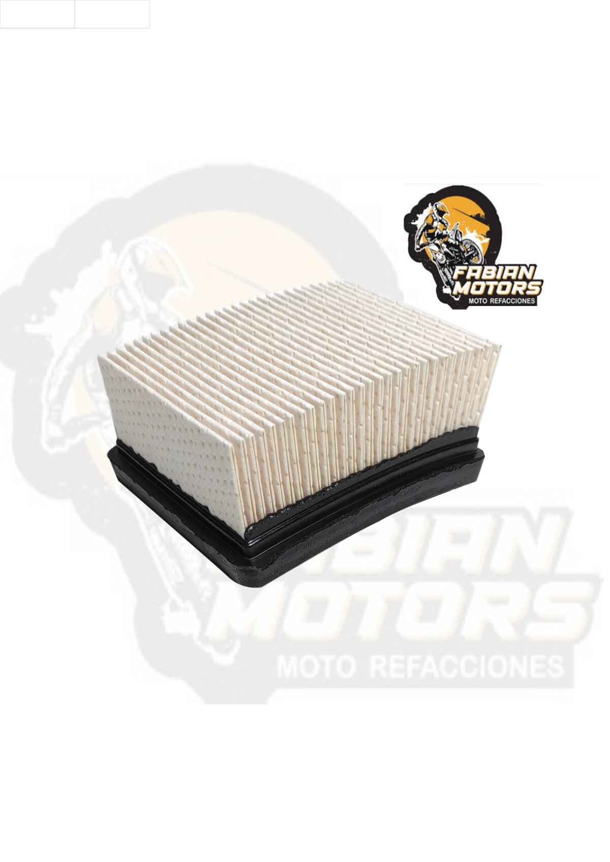 ELEMENTO FILTRO AIRE P/ G310 GS, P/ G310 R TWN