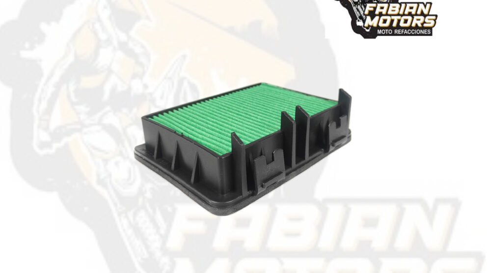 132-001063 ELEMENTO FILTRO AIRE TECHX2 P/ DUKE 250-390 (1217)
