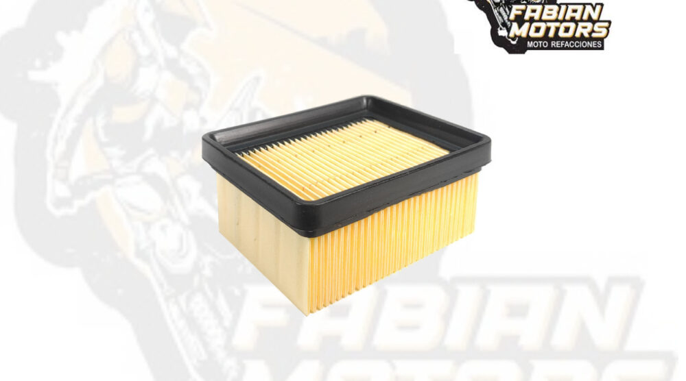132-001071 ELEMENTO FILTRO AIRE TECHX2 P/ G310 GS, P/ G310 R