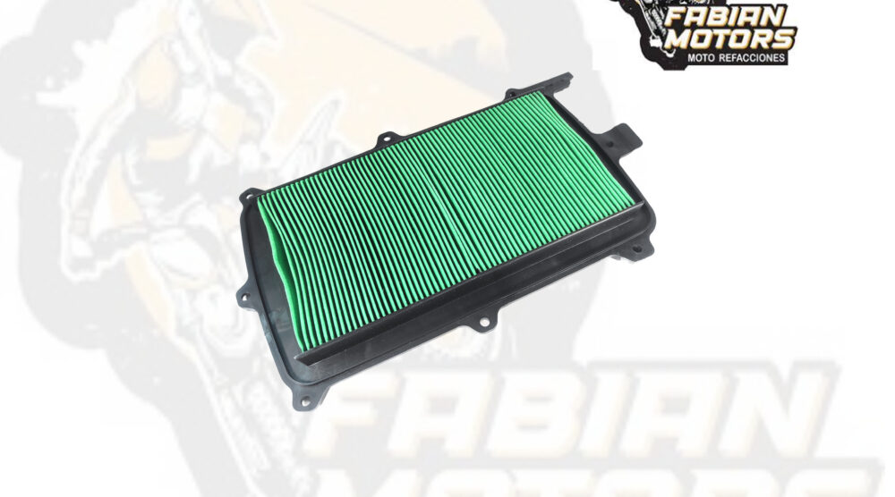 132-001075 ELEMENTO FILTRO AIRE TECHX2
P/ TALON 1000 (17215-HL6-A00)