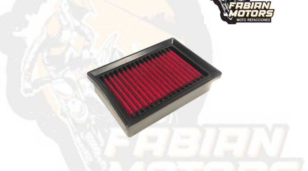 132-001076 ELEMENTO FILTRO AIRE TECHX2
P/ R1250GS (1113)