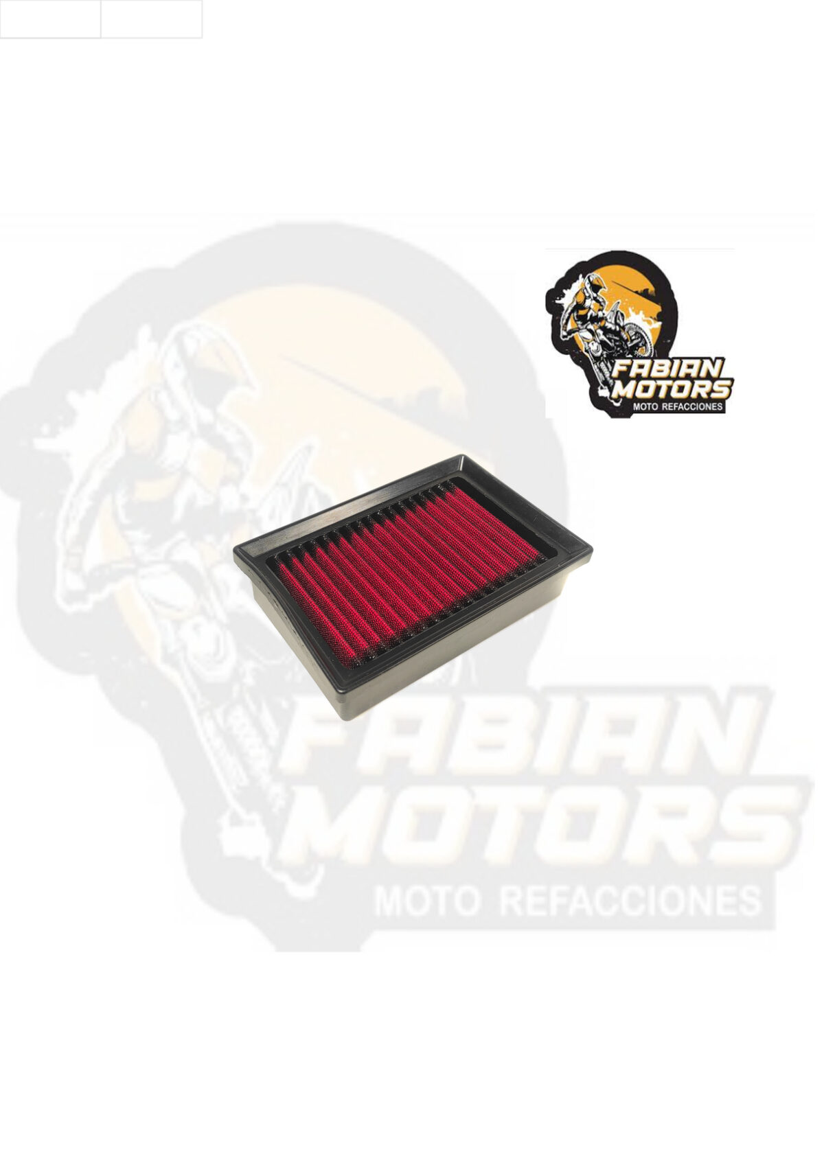 ELEMENTO FILTRO AIRE TECHX2 
P/ R1250GS (1113)