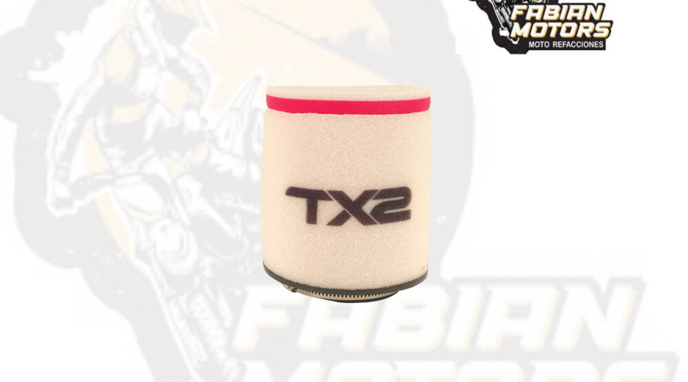 132-001083 ELEMENTO FILTRO AIRE TECHX2 P/ TRX 300 '93-'03 (150915)