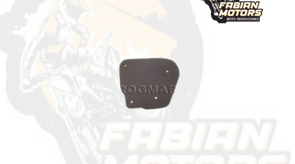 ELEMENTO FILTRO AIRE P/ BWS-100 TWN