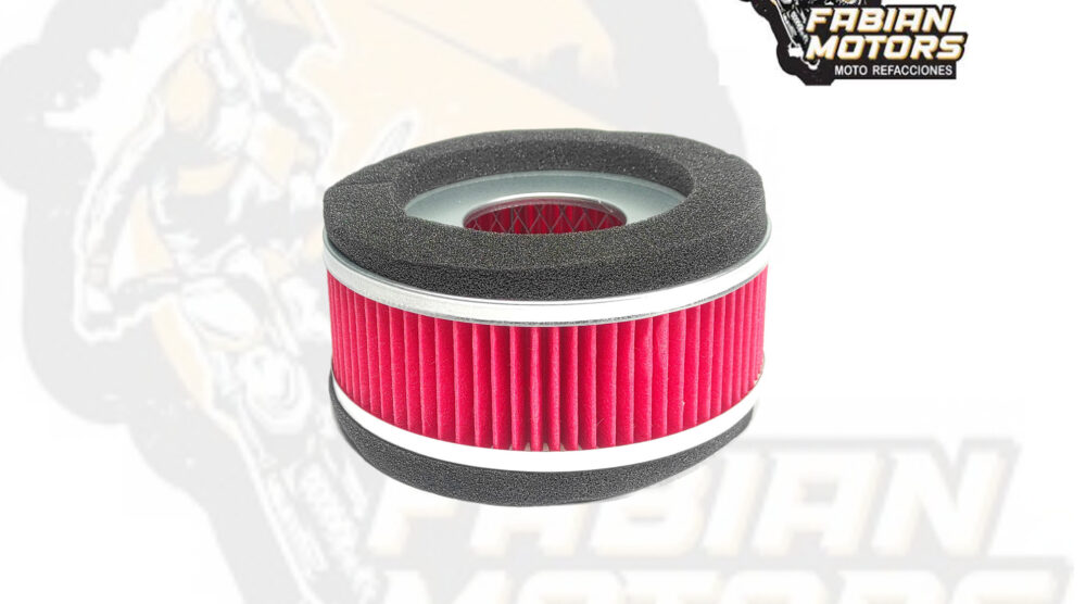 132-043008 ELEMENTO FILTRO AIRE P/ DS-150