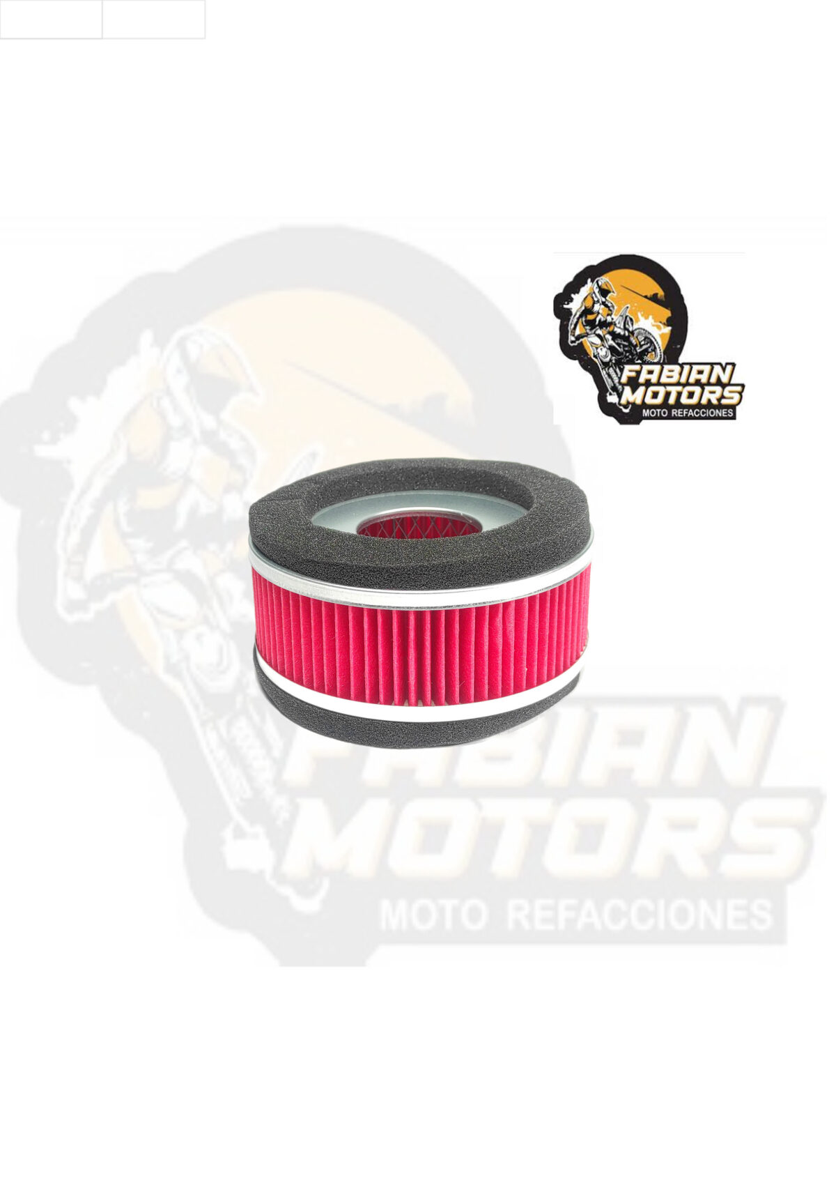 ELEMENTO FILTRO AIRE P/ DS-150