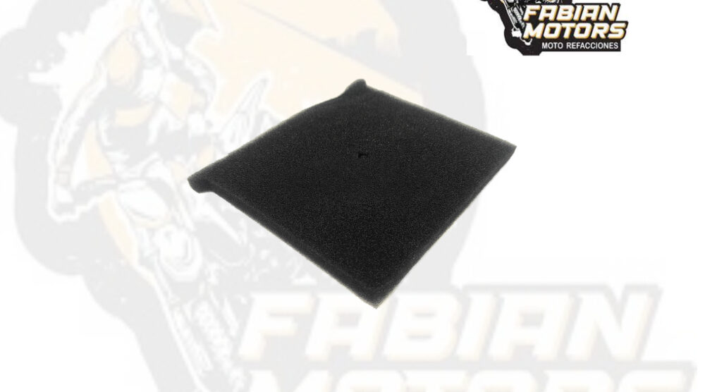 132-045007 ELEMENTO FILTRO AIRE P/ FT-150