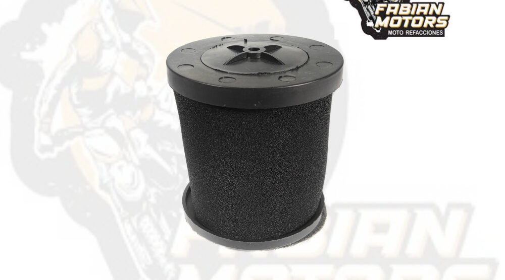 ELEMENTO FILTRO AIRE COMPLETO P/ FT-125