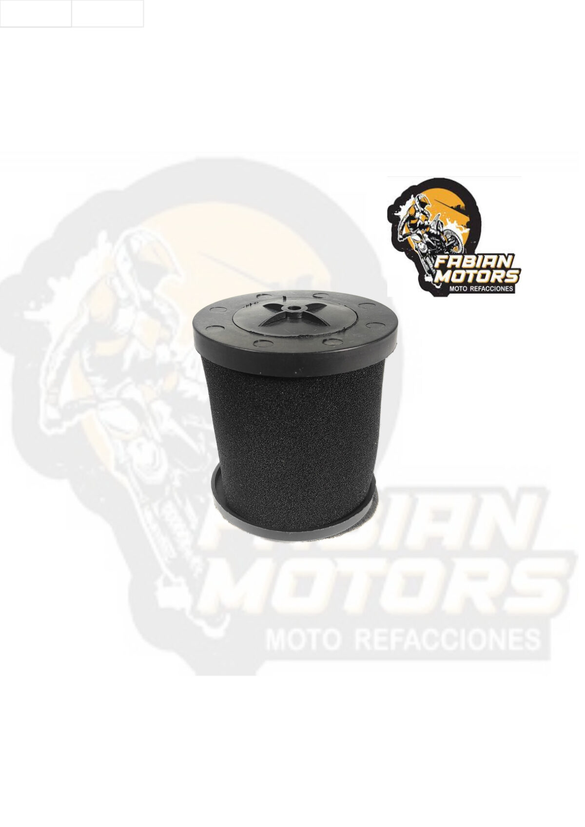 ELEMENTO FILTRO AIRE COMPLETO P/ FT-125
