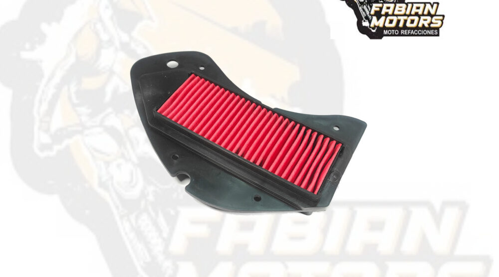 132-049007 ELEMENTO FILTRO AIRE P/ WS-150