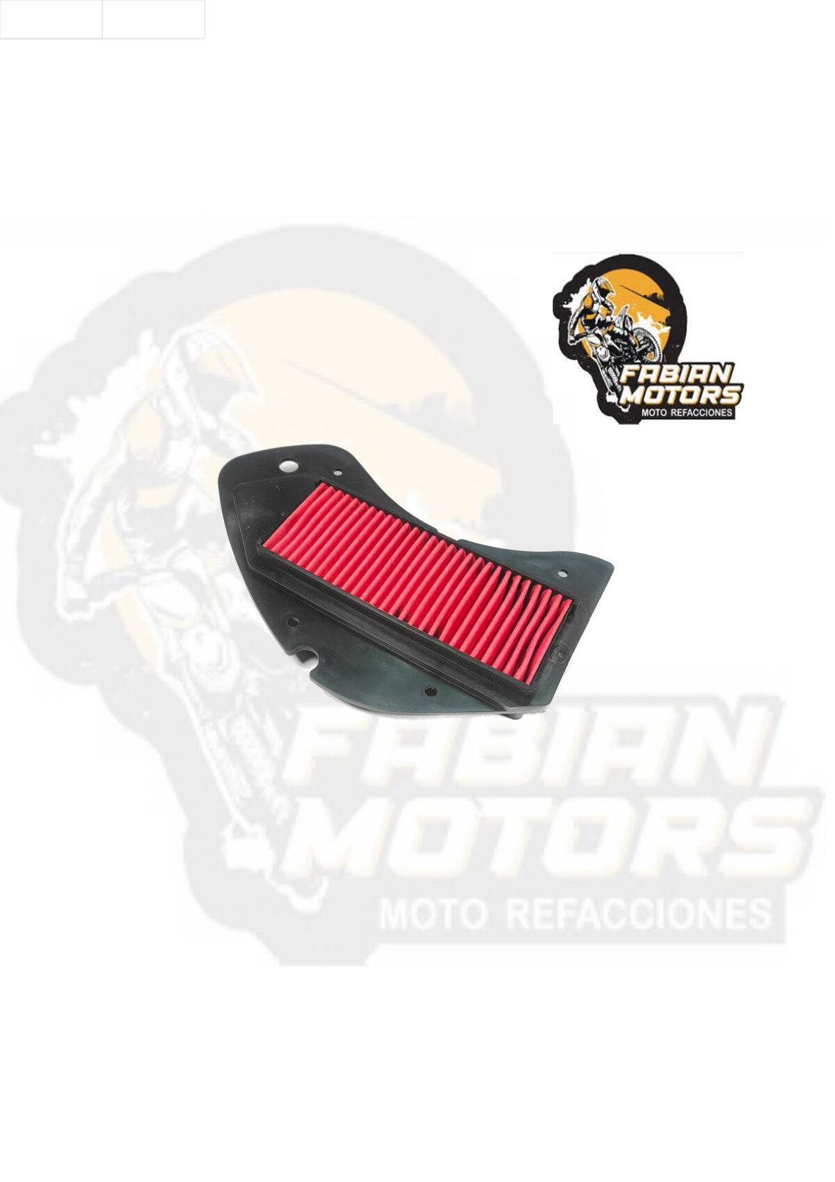 ELEMENTO FILTRO AIRE P/ WS-150