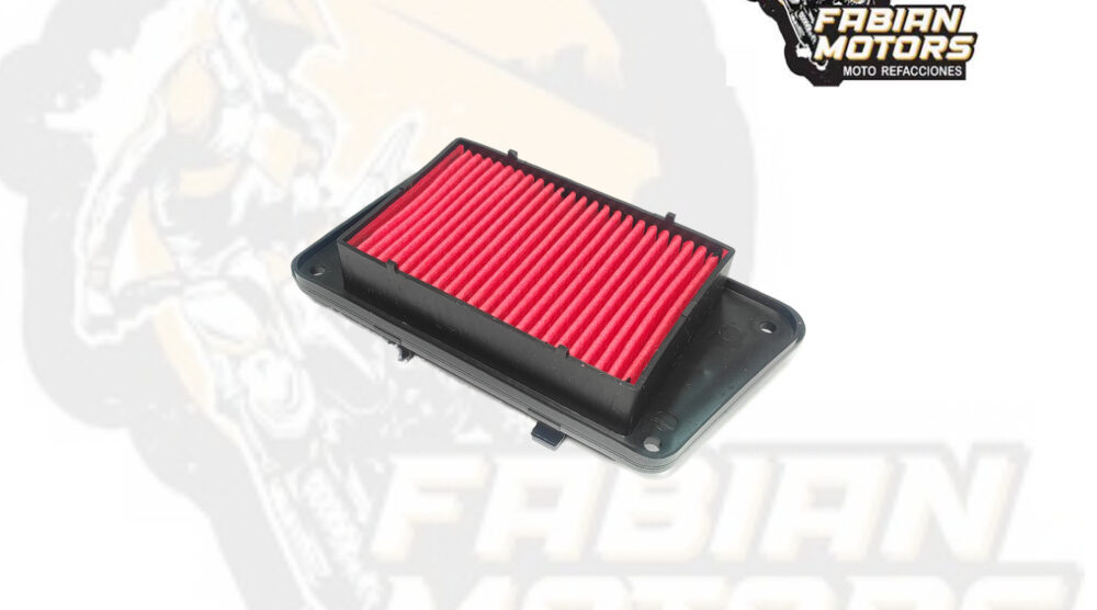 132-049008 ELEMENTO FILTRO AIRE P/ WS-150 SPORT