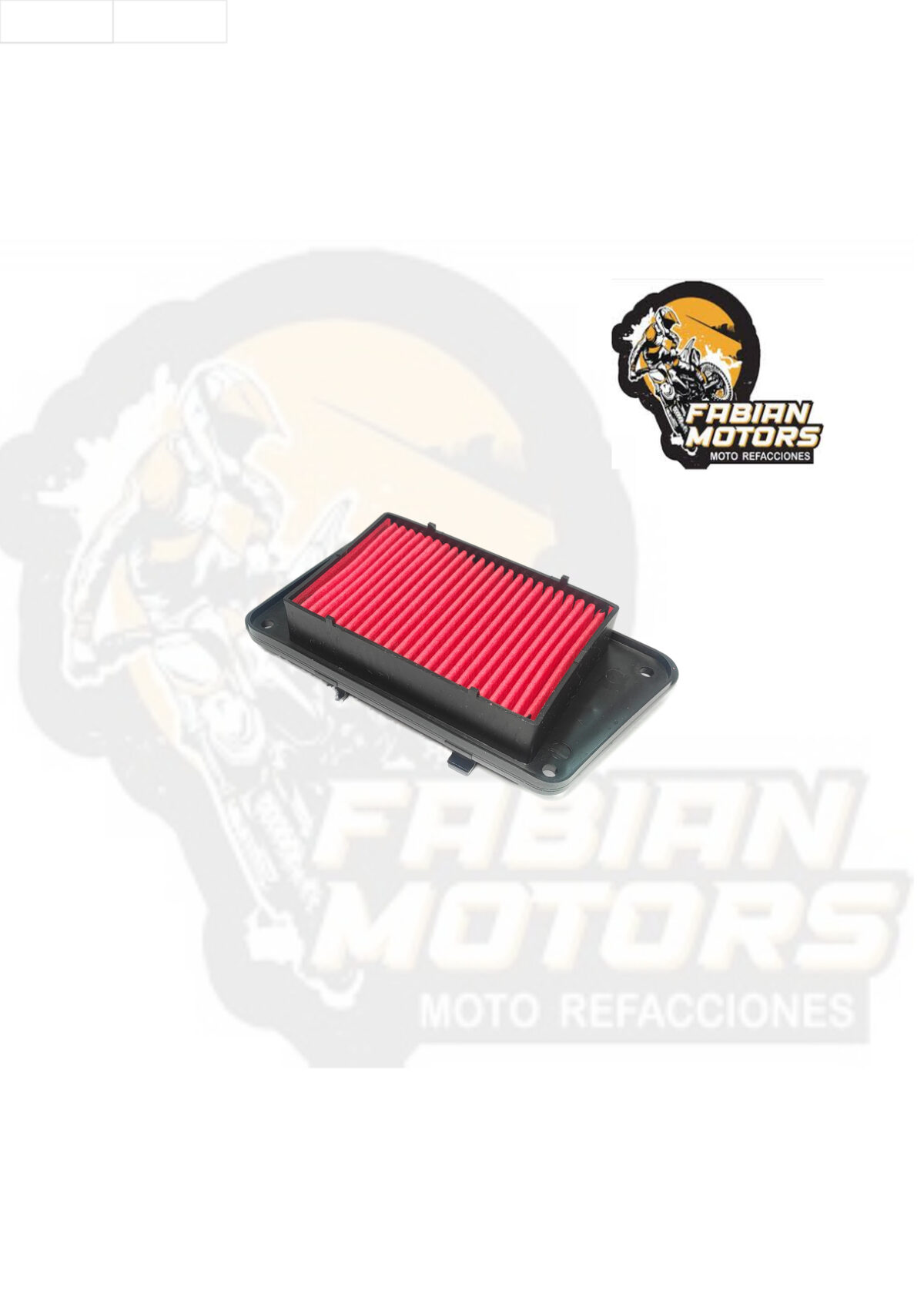 ELEMENTO FILTRO AIRE P/ WS-150 SPORT