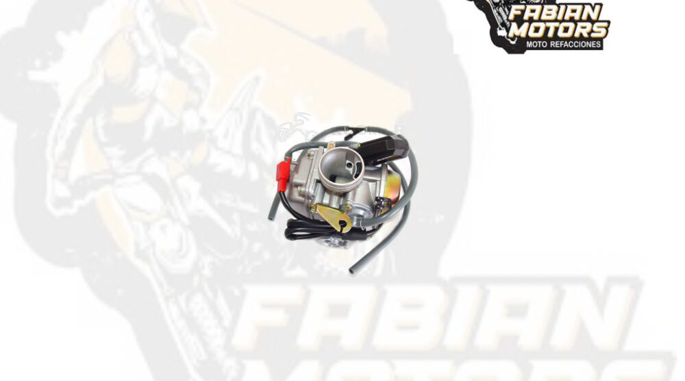 CARBURADOR COMPLETO P/ WS-150