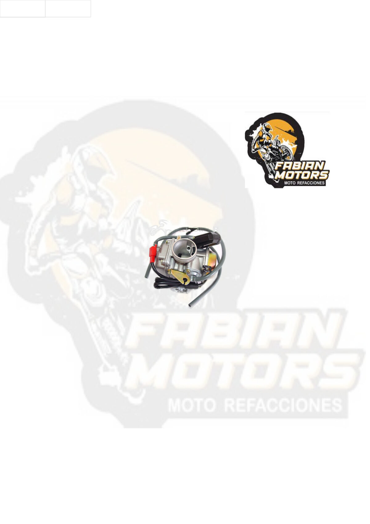 CARBURADOR COMPLETO P/ WS-150