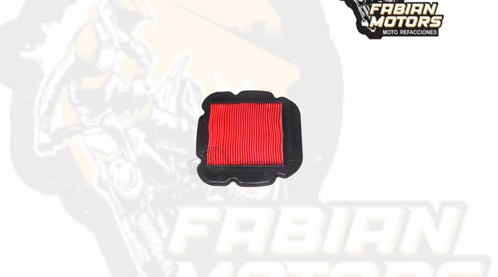 ELEMENTO FILTRO AIRE P/ DL-650 V-STROM TWN